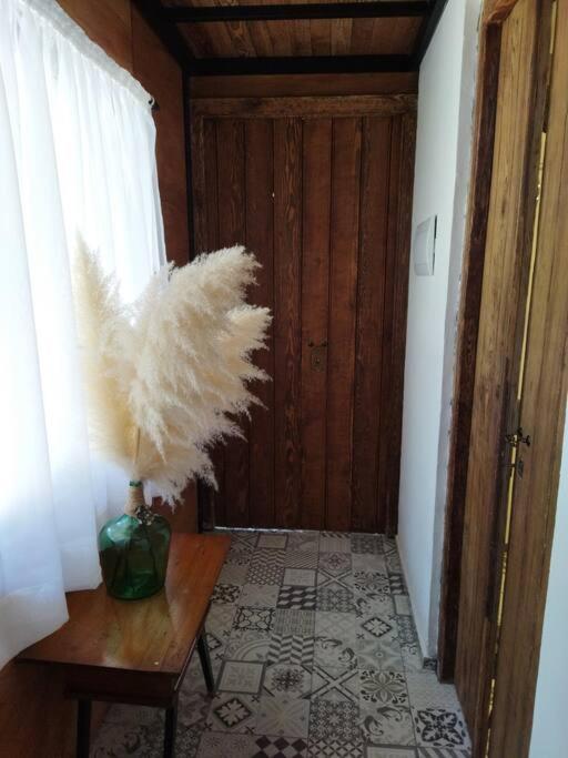 Appartement Apartamento Dos Hermanas à Colonia Estrella Extérieur photo